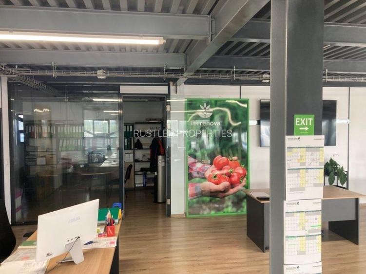 Hala de inchiriat Bucuresti-Popesti Leordeni - 8