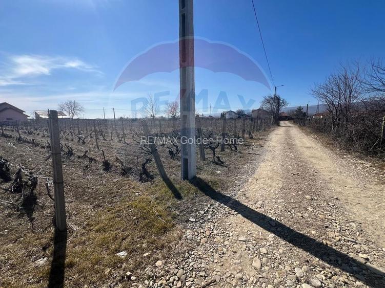 Teren intravilan Unirea Odobesti / Strada Grozesti - 8