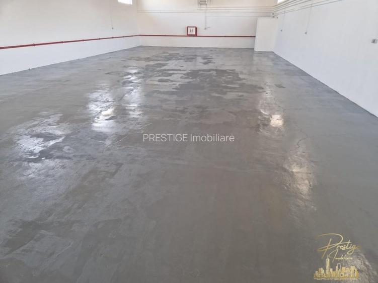 Proprietate industriala renovata | 2 hale de vanzare in zona Seleus - 5