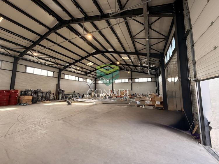 Hale premium cu Spatiu de birouri– zona Oxigenului – Cernica - 5