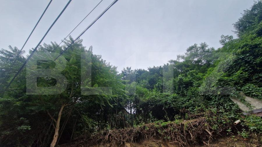 Casa in inimia Brasovului individuala la pret de apartament - 9