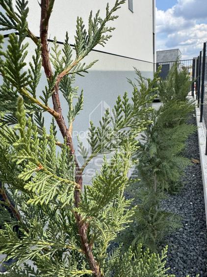 Duplex  modern despartit prin camera tehnica - 2