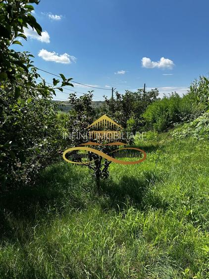 Casa de vanzare in Secuieni / Bacau - 18