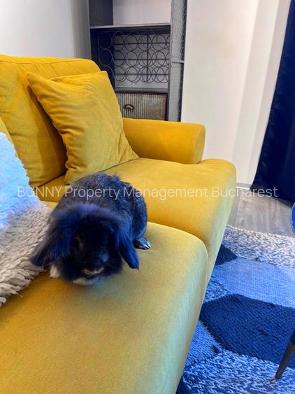 *SHORT TERM RENTAL* AM097 - INDUSTRIAL STYLE APARTMENT - 44