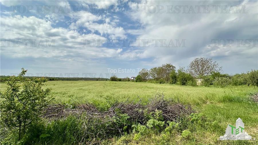 Teren intravilan de vanzare Comuna Ganeasa - 2