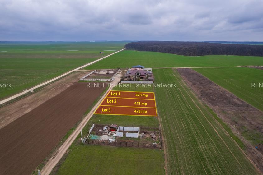 FRUMUSANI - VIOLETELOR, TEREN 423 MP, FRONT 14 M! - 4