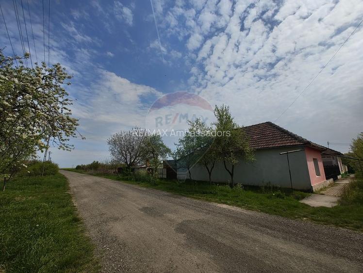 Casa de vanzare cu teren de 2175 mp,anexe si livada generoasa | Mailat - 2