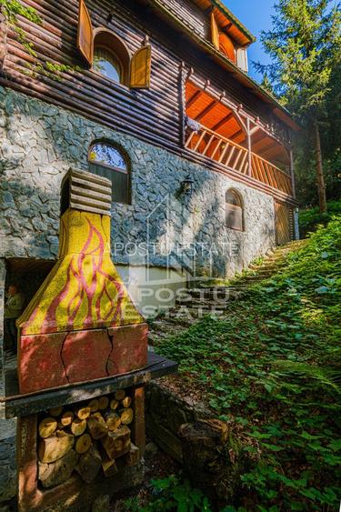 Pensiune, casa de vacanta, 6 camere, statiunea Rausor din Hunedoara - 16