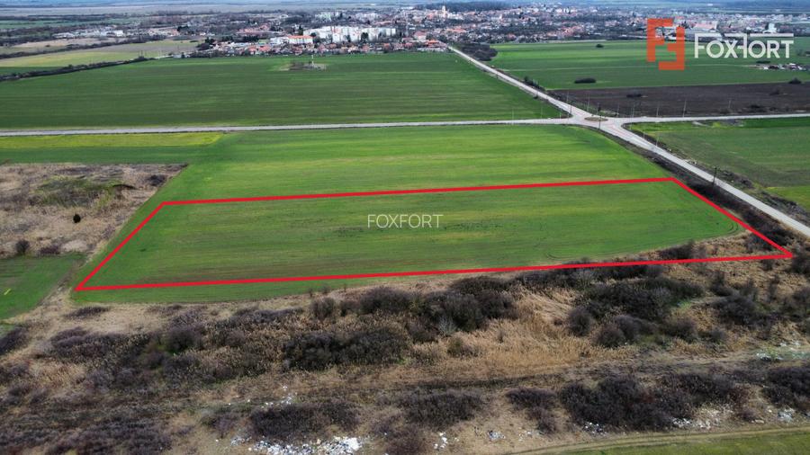 Teren industrial de vanzare de 25.000 mp, zona Deta - 6