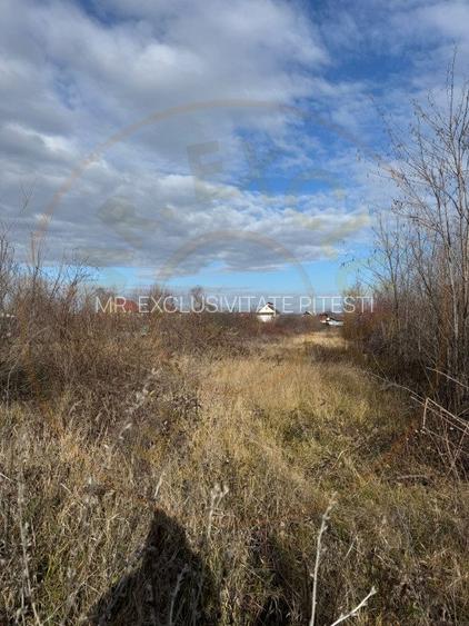 Teren intravilan Bananai - 2939 mp - 3