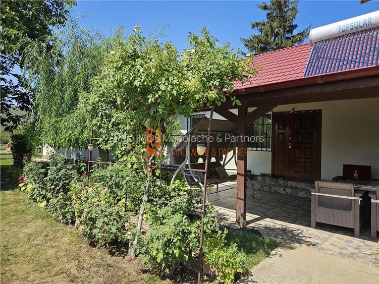 Casa tip parter + beci si teren 4684 mp in Candesti, Vernesti - 27