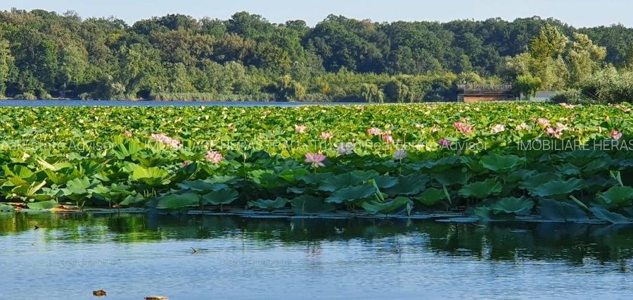 Snagov | Casa cocheta cu teren 1000 mp | Deschidere lac | Ponton | Garaj barca - 3