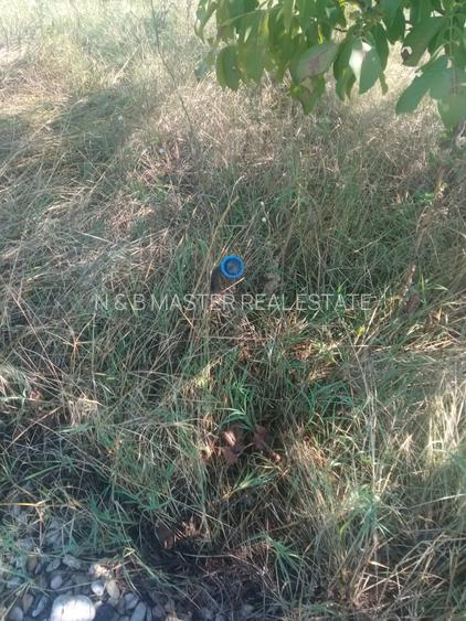 Teren 100Omp, Clinceni, Str Rozelor - 12