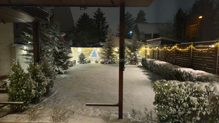 Damaroaia Bucureștii Noi - 4