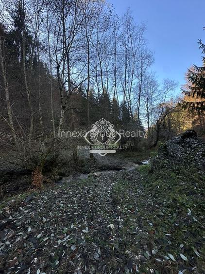 Teren 2.882 mp – oportunitate investitie - Cheile Dâmbovicioarei - 11