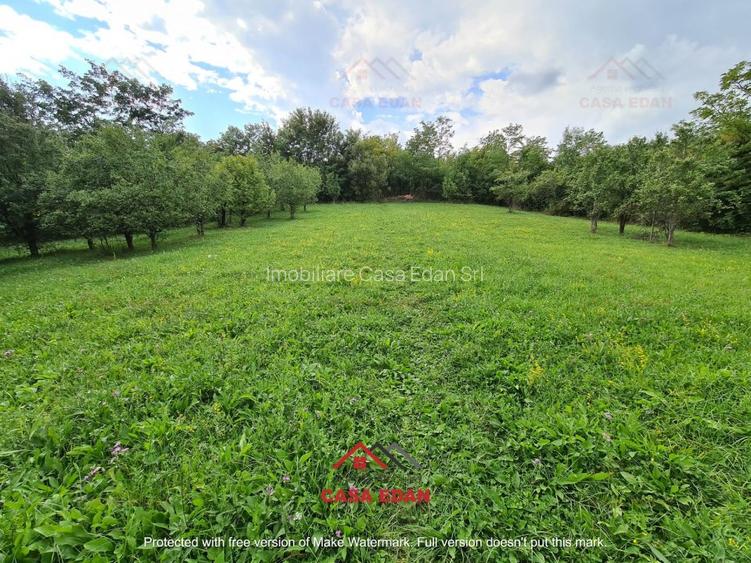 ●Teren intravilan in Poiana Campina,zona retrasa,3287 mp,10e● - 2