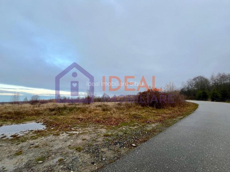 Teren extravilan 6.500 mp – două căi de acces, Cârțișoara - 2