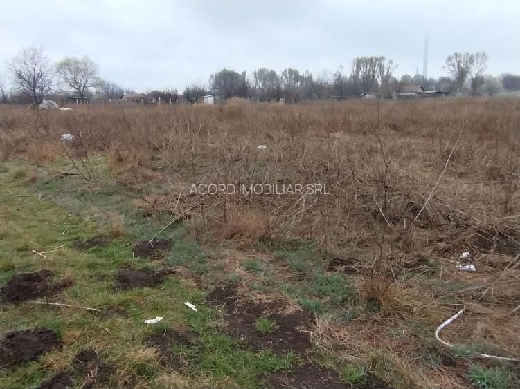 Teren investiție Km 5- Vila Cucoanei - 7