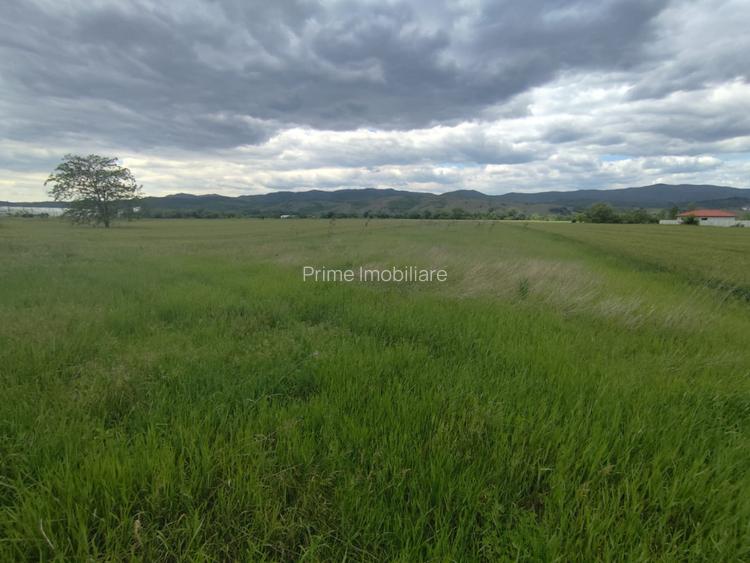 Teren extravilan de 10.400 mp, zona Vintu de Jos - 2