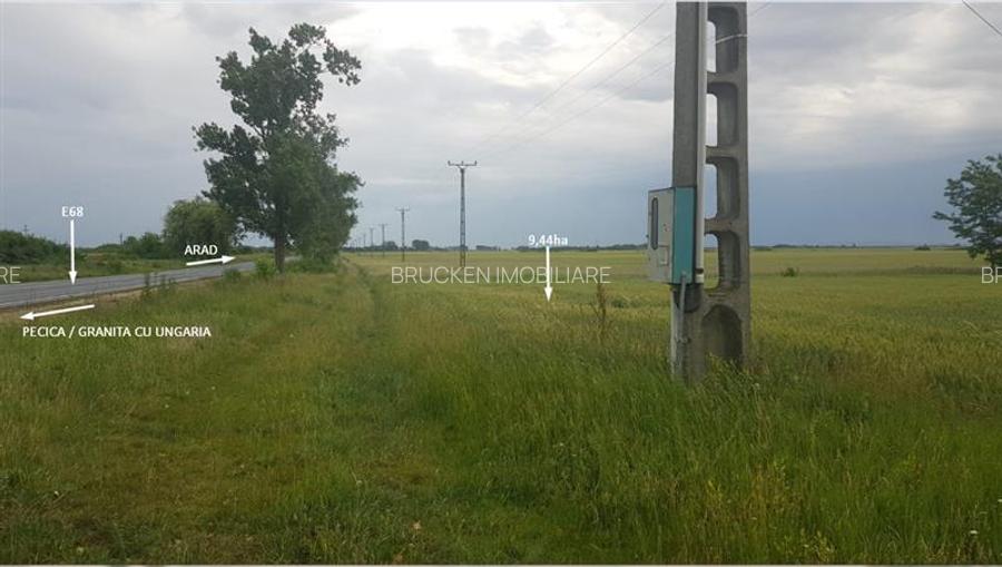 TEREN CU POTENTIAL INDUSTRIAL/ SERVICII | 9,44 HA | ARAD, PECICA - 7