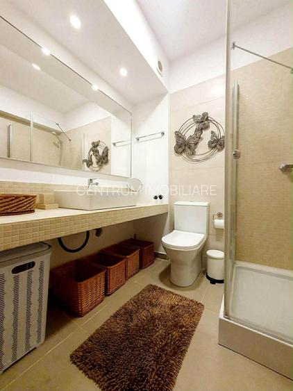 Inchiriere garsoniera Grozavesti terasa si parcare - 13