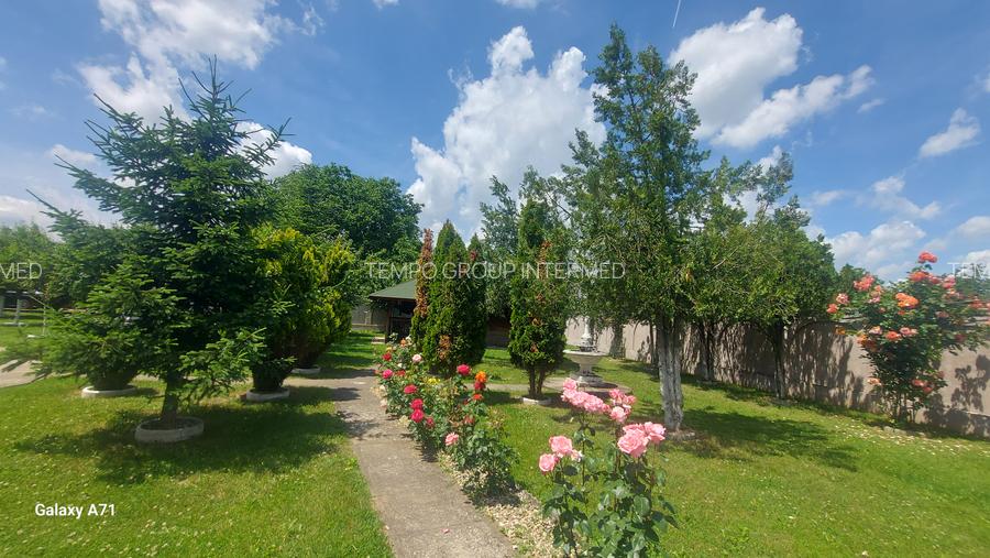 Snagov- Gruiu- Santul Floresti -Proprietate cu stil pentru oameni gospodari! - 42
