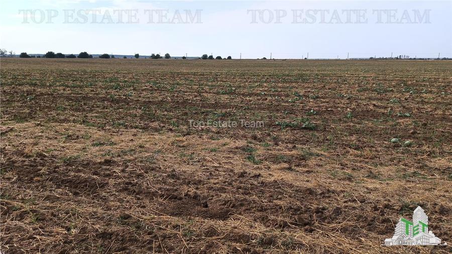 Oferim spre vanzare 6 loturi de teren extravilan (agricol) in Petrachioaia ILFOV - 13