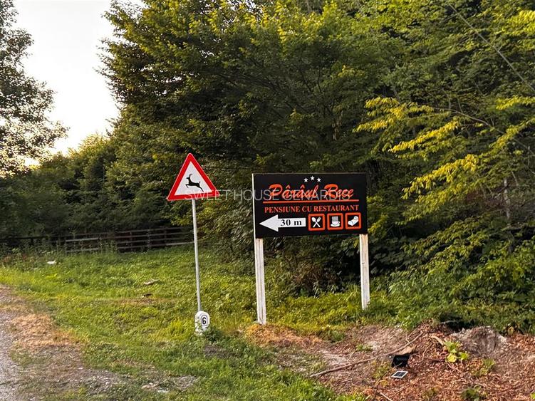 Oportunitate de investitie Cabana Cartisoara Zona Turistica - 50