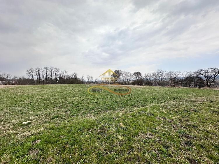Teren de vanzare Blagesti Bacau - 2