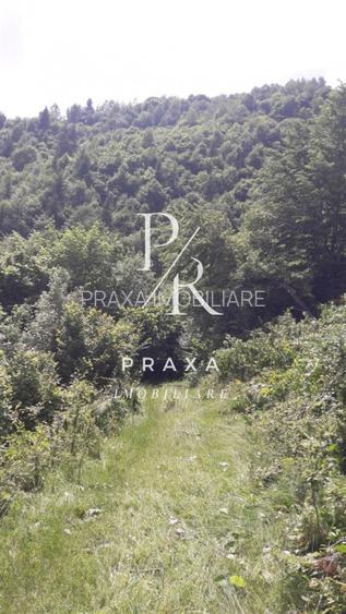 Teren de vanzare 10.000 mp/ parcelabil, cu utiitati, 4 euro/ mp! Maguri Racatau! - 15