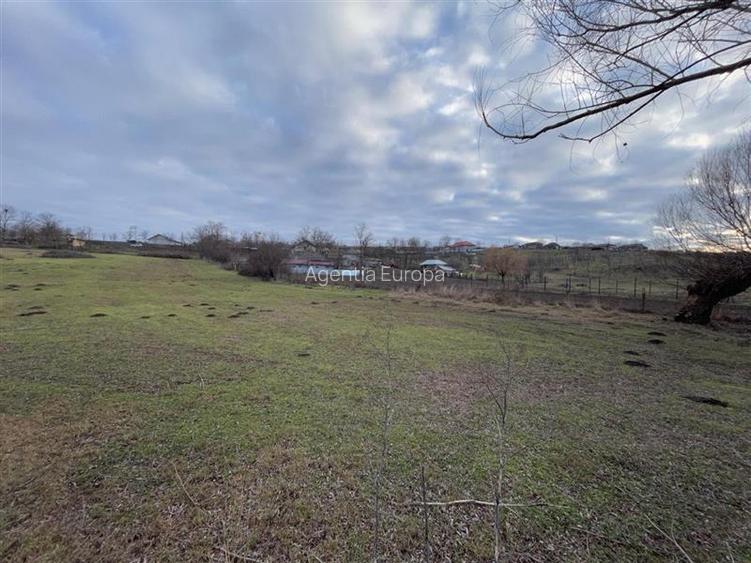 Teren de vanzare in Frecatei Tulcea - 9