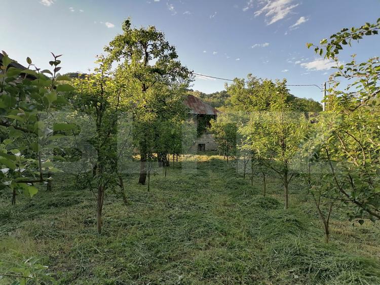 Casă la rRșu cu Livadă, Teren 1000 mp.  Gemenea Brătulești