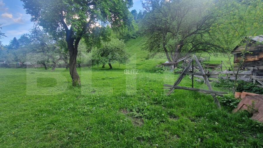 Vila in Moeciu de Sus -12 camere teren 4780 mp- bonus 2000 mp teren - 6