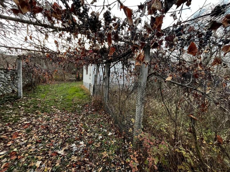 Casă + teren generos de vânzare în Strâmba Jiu