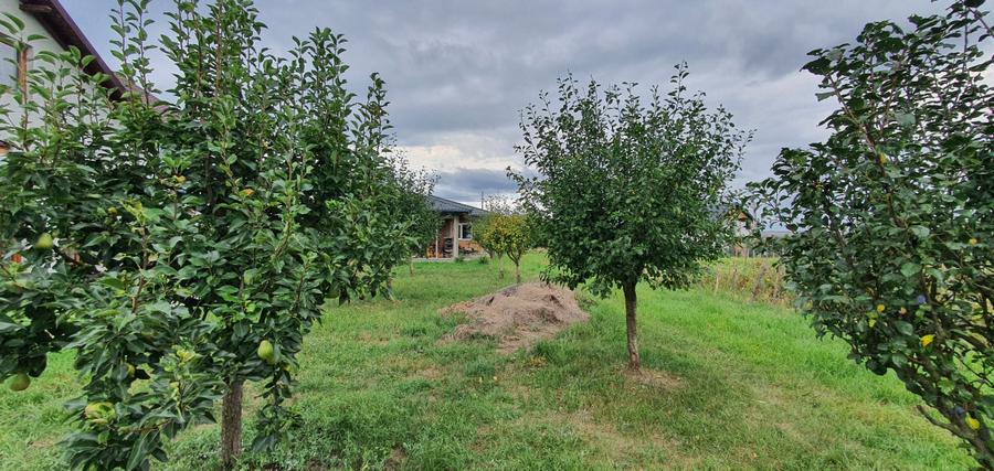 Mocira casa noua de vanzare