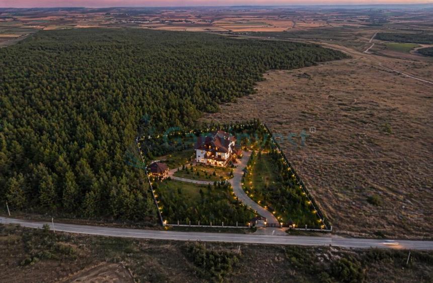 Teren langa padure de 3,5 ha cu proiect pentru pensiune la 15 minute de Oradea