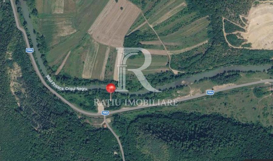 Teren Extravilan de vânzare | Șoimi | Bihor