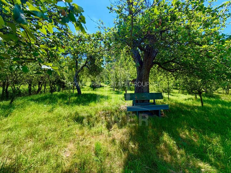 Casă de vânzare-teren 2.300 mp| Ocna Sibiului - 25