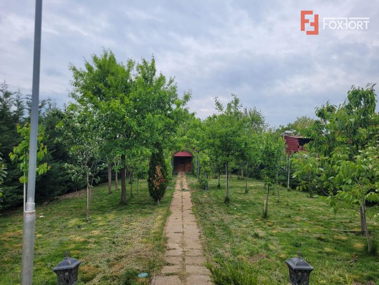 Casa deosebita in Sacalaz - vatra satului la 15 minute de Timisoara