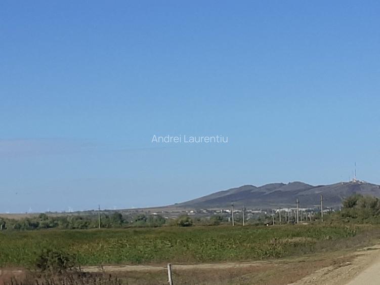 OCAZIE : INTRAVILAN com. MURIGHIOL - 19 euro/m.p. Deschidere Dunare  74 m. - 8