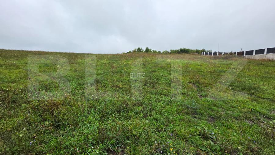 Teren Sigmir, parcelat, toate utilitatile, 880 mp - 4
