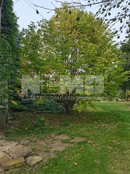 Casă/Vila + Teren 13 Ari de Vânzare |Lisaura/Suceava I 280.000 Euro - 18