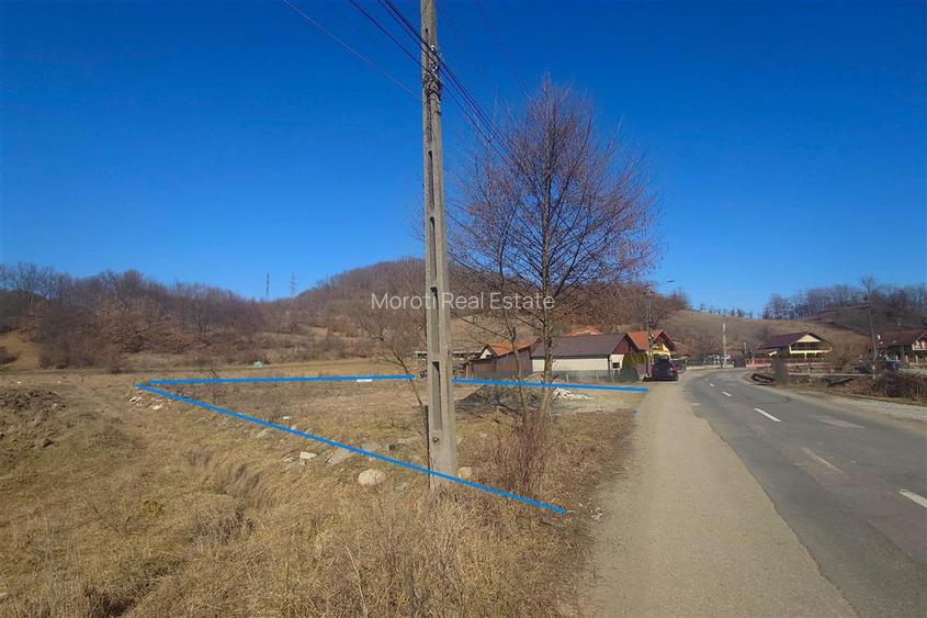 Teren intravilan in Brad - 2