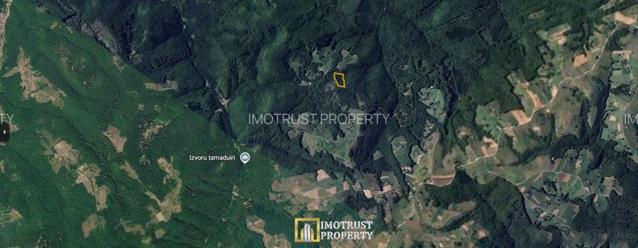 Pădure și pășune de vânzare 8,2037 ha Borod, Bihor