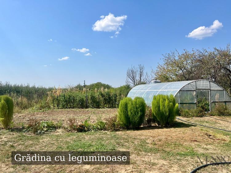 Proprietate de vanzare | Tileagd | jud. Bihor