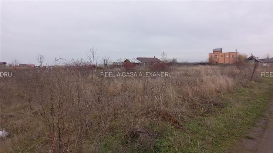 Terenuri de vanzare Iasi, Horlesti - 4