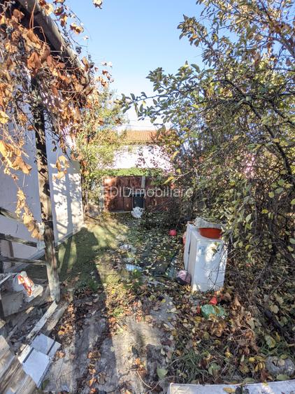 Casă de vânzare, 2 camere, 60 mp, 900 mp teren Dâmbul Rotund zona Dedeman - 5