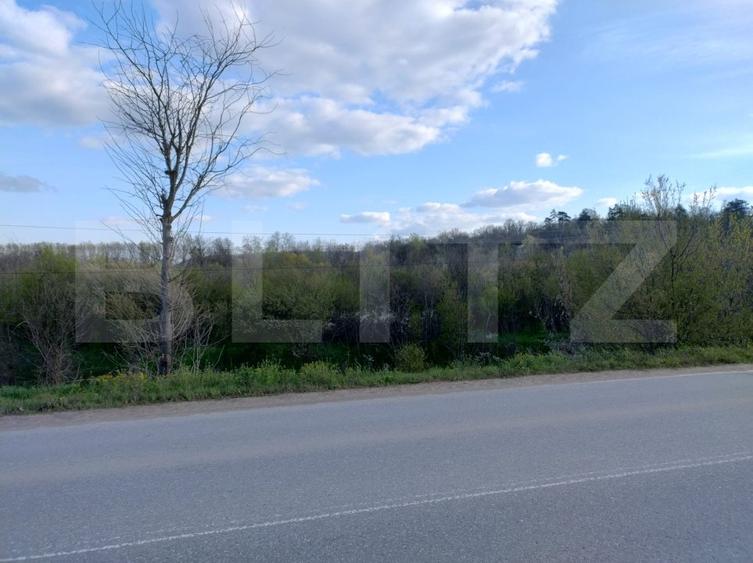 Teren padure 10 ha, extravilan, 400 ml deschidere, stradal, zona Breasta
