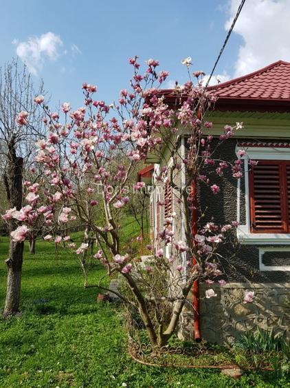 Vanzare casa Fieni - Runcu - 9