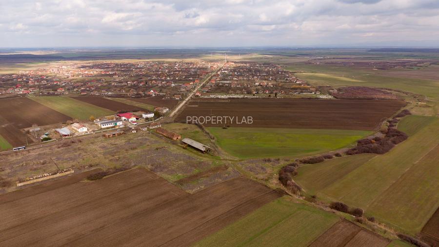 Fermă cu teren intravilan de 35000 mp în Mișca - 6